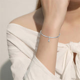 Sterling Silver Cubic Zirconia Yorkshire Boston Terrier Chihuahua Dachshund  Bead Charms