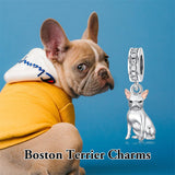 Sterling Silver Cubic Zirconia Yorkshire Boston Terrier Chihuahua Dachshund  Bead Charms