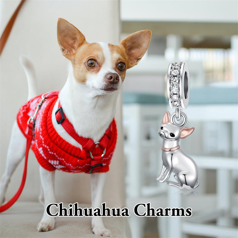Sterling Silver Cubic Zirconia Yorkshire Boston Terrier Chihuahua Dachshund  Bead Charms