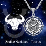 Sterling Silver Oxidation12 Zodiac Pendant Necklace