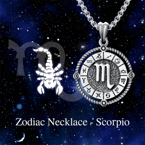 Sterling Silver Oxidation12 Zodiac Pendant Necklace
