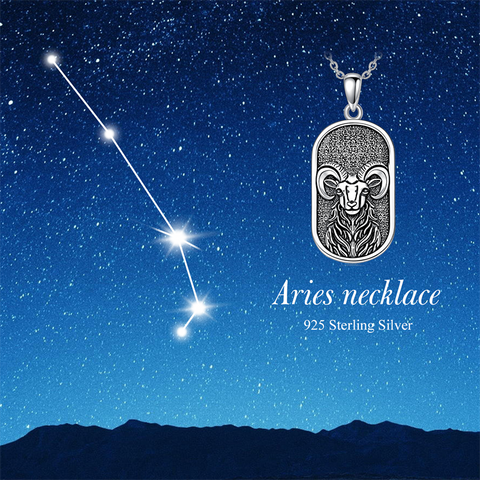 Sterling Silver Zodiac Sign Pendant Necklace