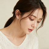 925 Sterling Silver Elegant Stellar Zircon-encrusted Silver Drop Earrings