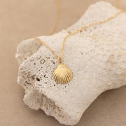 925 Silver Dainty Shell Necklace Gold Shell Necklace Tiny Shell Necklace Sea Mermaid Shell Necklace Gift for Women