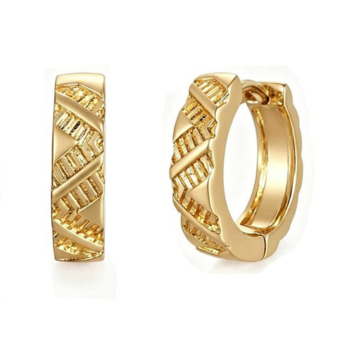 14K Gold Plated Hoop Earrings  Birthday Anniversary Jewelry Gift for Her