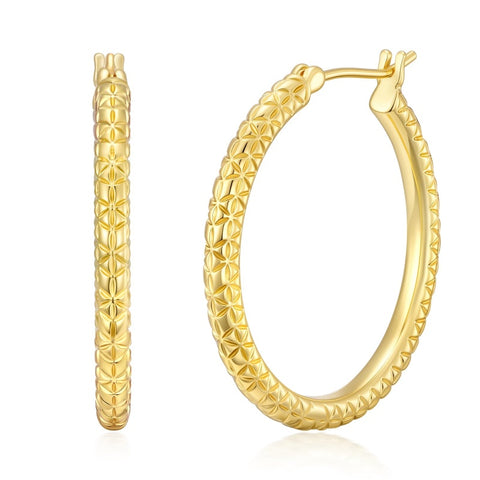 14K Gold Plated  Lightweight Hoop Earring for Women