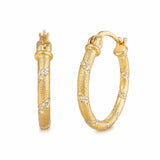 14K Gold Plated Hoop Earrings  Birthday Anniversary Jewelry Gift for Her