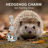Sterling Silver Lion Red Panda Fox Bear Capybara Charm Beads Christmas Birthday Gift