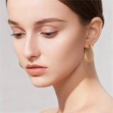 14K Gold Plated Thick Twisted Hoop Earrings for Women