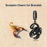 Sterling Silver Cubic Zircon Koala Pig Butterfly Scorpion Dragonfly Bead Charms