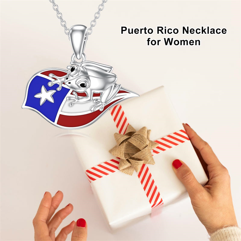 Sterling Silver Jamaica America Texas Africa Map Pendant Necklace Country Map Chain Jewelry Gifts