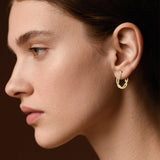 14K Gold Plated Cubic Zirconia Trendy Cable Design  Earrings for Women