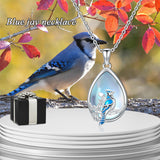 Sterling Silver Bird Necklace for Women Girls Blue Jay Pendant Jewelry Christmas Gifts