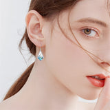 Silver Dangle Earrings for Women S925 Mustard Seed Earrings, Hooks Earrings