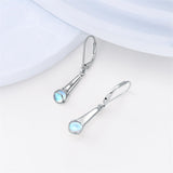 Sterling Silver Microphone  Saxophone Accordion  Clarinet Guitar Harp Leverback Earrings Gifts for Music Lovers