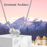 Mountain Necklace 925 Sterling Silver Mustard Seed Necklace Serotonin Pendant Happiness Hormone Serotonin Molecule