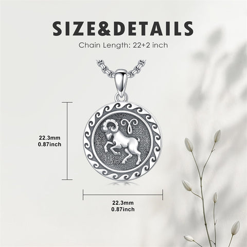 Sterling Silver 12 Zodiac Astrology Horoscope Pendant Necklace