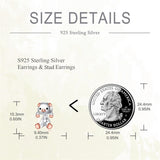 Pig Stud Earrings for Women 925 Sterling Silver Jewelry Hypoallergenic  Gifts Birthday