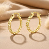 14K Gold Plated Cubic Zircon Hoop Earrings for Women