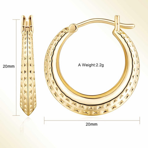 14K Gold Plated Lightweight & Small Hoop Earrings for Women