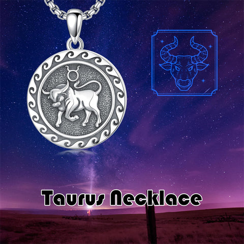 Sterling Silver 12 Zodiac Astrology Horoscope Pendant Necklace