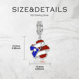 Sterling Silver Coqui Frog Flag Puerto Rico Charm Beads