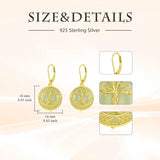 14K Gold Plated Natural Jade  Earrings for Women Good Fortune Jewelry Birthday Mother's Day Gifts