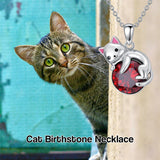 Sterling Silver Cubic Zirconia  Cat Pendant Necklace for Women