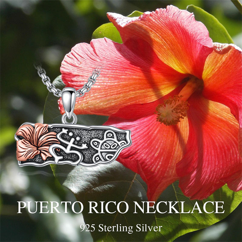 Sterling Silver Frog Puerto Rican Map Pendant Necklace– romanticwork