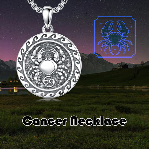 Sterling Silver 12 Zodiac Astrology Horoscope Pendant Necklace