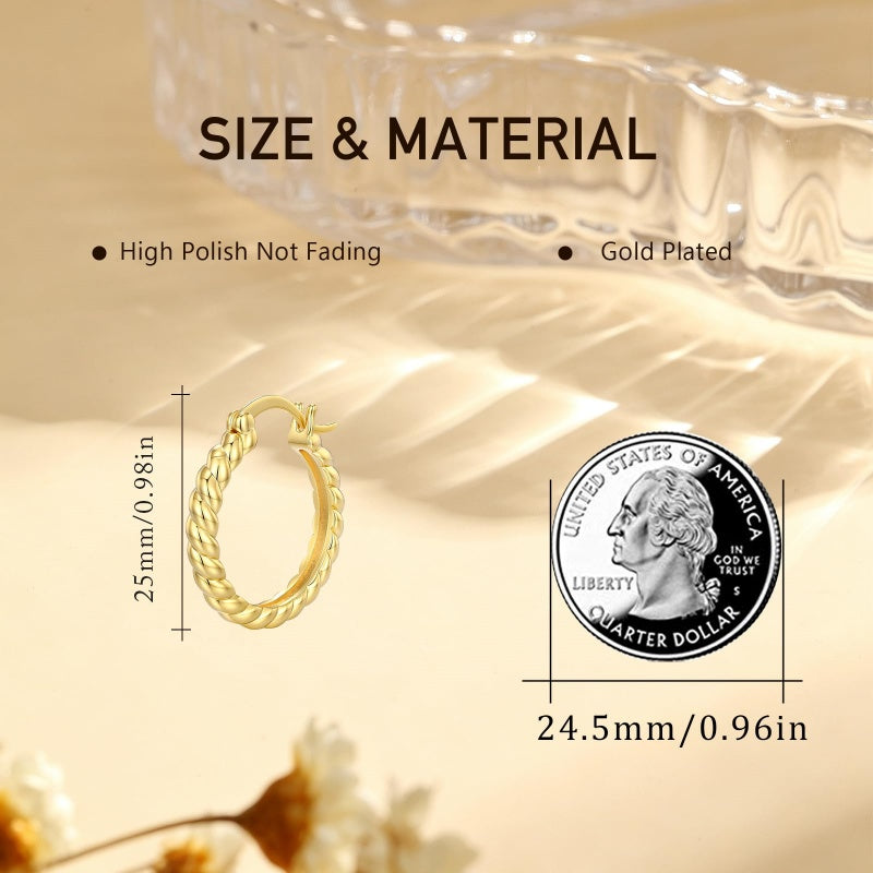14K Gold Plated Cubic Zircon Hoop Earrings for Women