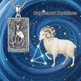 Sterling Silver Tarot Card 12 Zodiac Sign Pendant Necklace